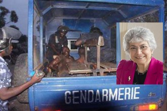 Togo : Mme Pansieri annoncée aux chevets des droits de lÂ’homme du pays